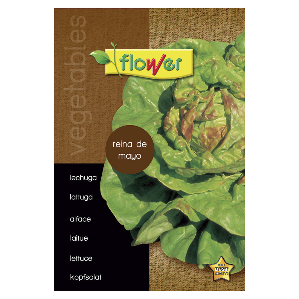 Lechuga Reina de Verano Eco