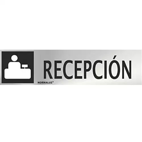 Señal Adhesiva Recepcion Acero Inoxidable 5x20 Cm  Gris