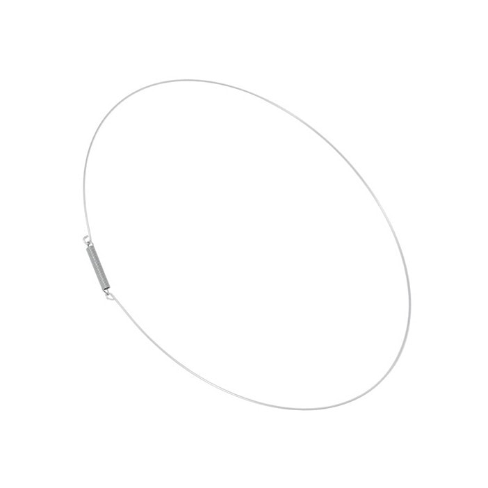 Anillo de retención con muelle para lavadora