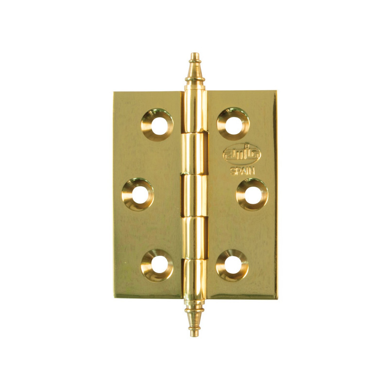 Bisagra 60x40mm. Latonado de Amig dorado