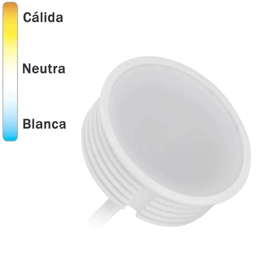 Bombilla LED Focos Plana Baja 50mm 6,5W