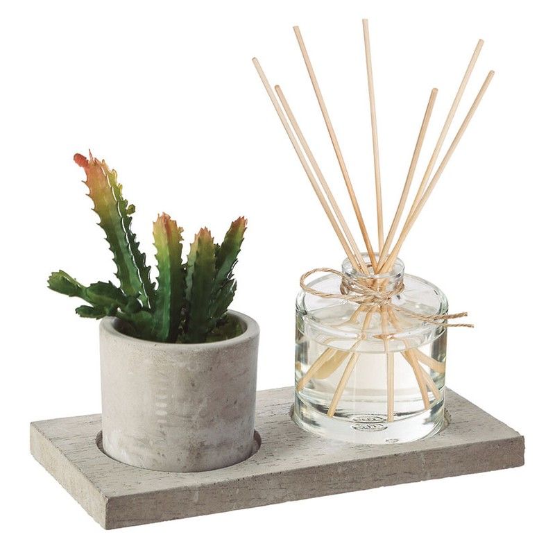 Caja Aromas + Planta 20X10 Cm. 418Y100