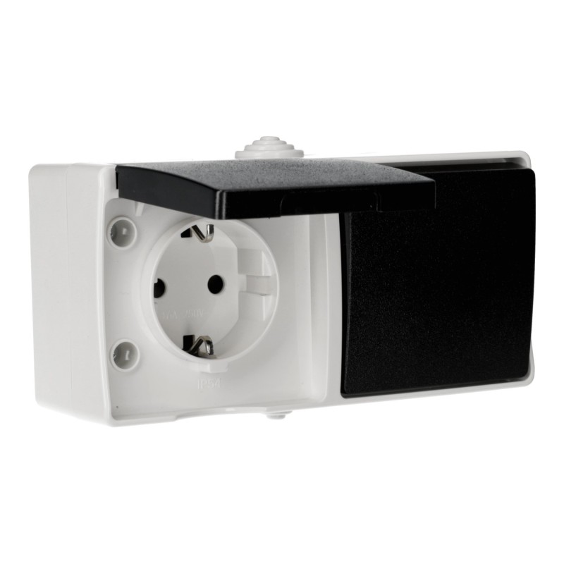 Enchufe Schuko + Interruptor 2 circuitos Superficie Alta resistencia IP54