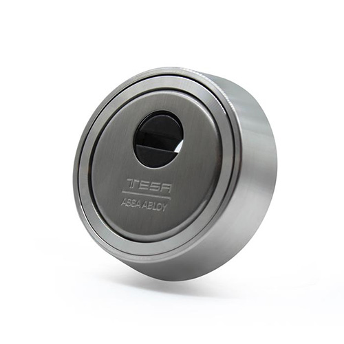 Cerraduras de seguridad - Escudo Alta Seguridad TESA E900