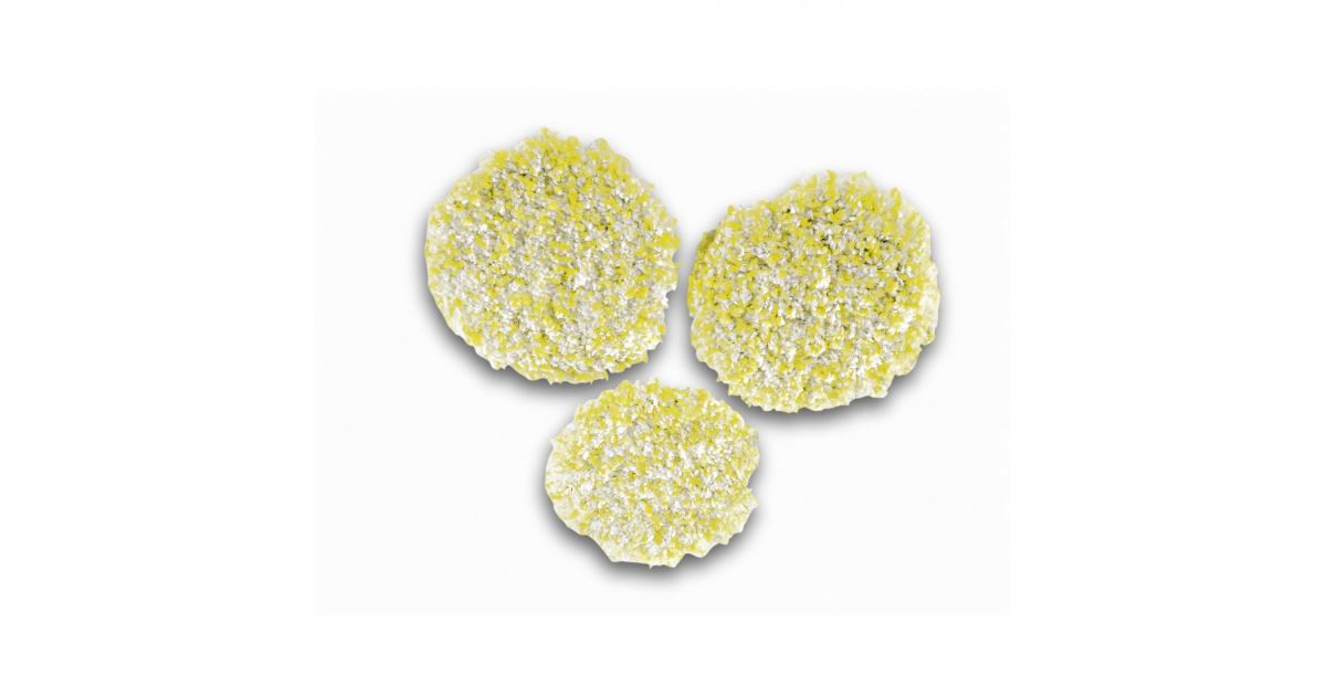 Kärcher Juego de almohadillas para pulir piedra, linóleo y PVC 3 piezas 28631980