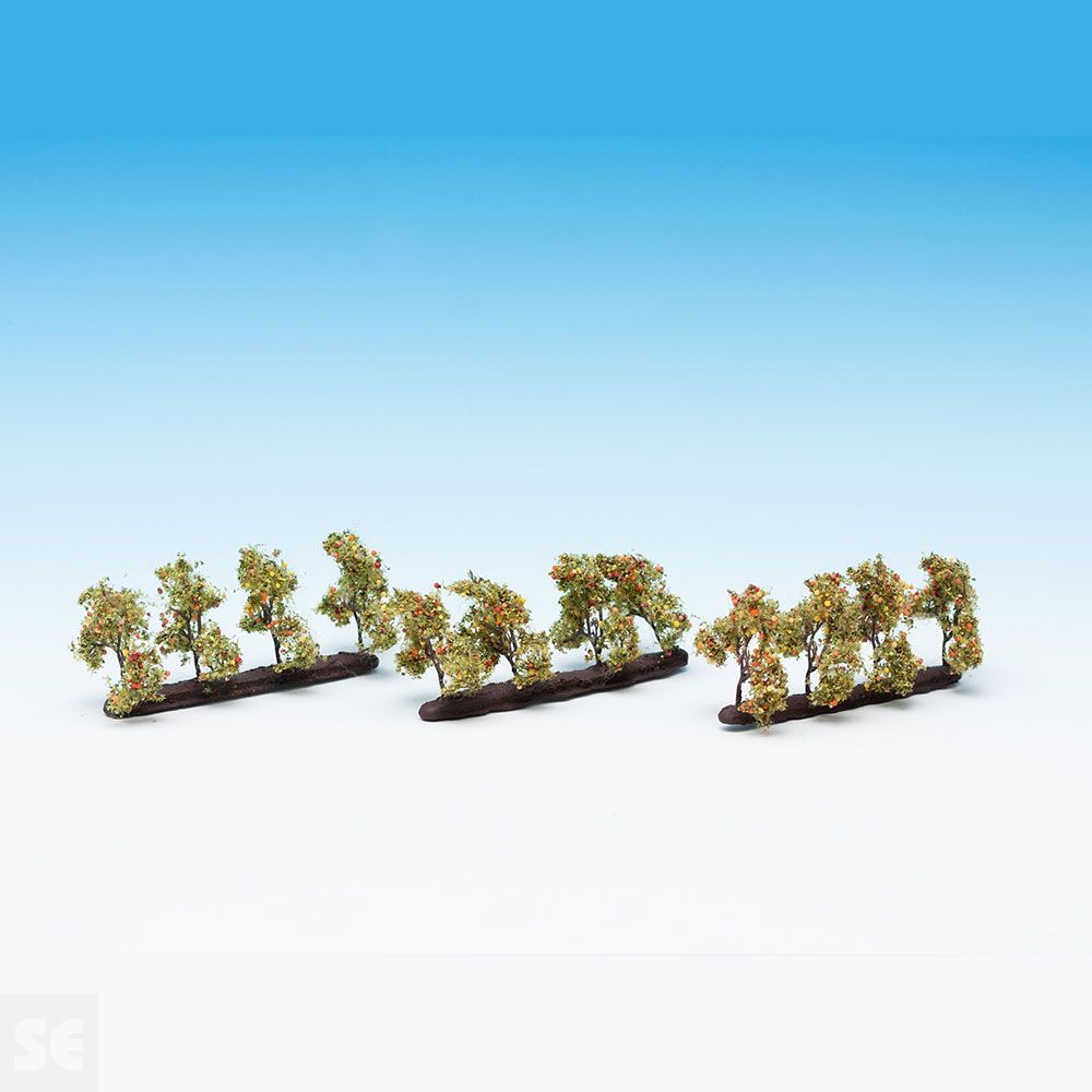 Manzanos Con Manzanas