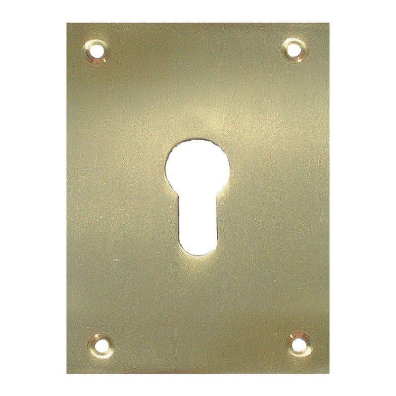 Placa Bocallave 2 Un. 80X80Mm Lat.Pulido 978D10 Micel