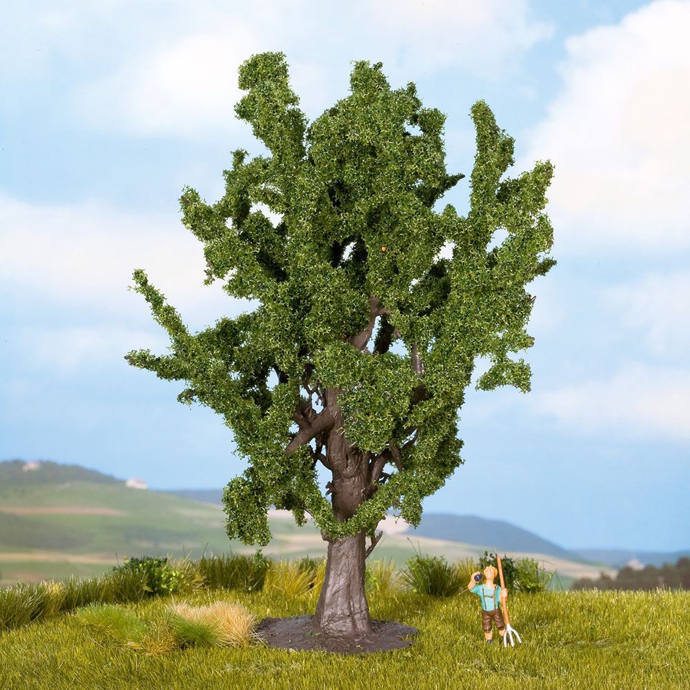 Roble, 15 Cm De Alto