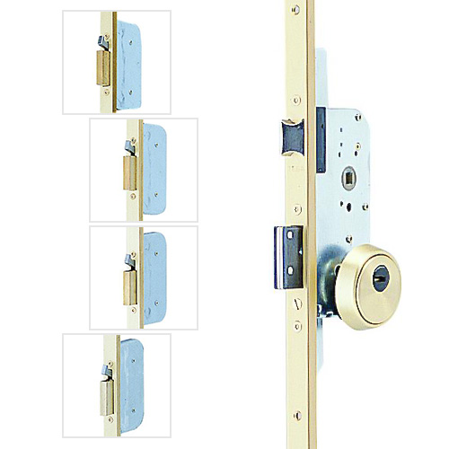 Cerraduras de seguridad - Cerradura Seguridad TLPF 5 Puntos Frontales E50 Cerradero 45 mm Dorado