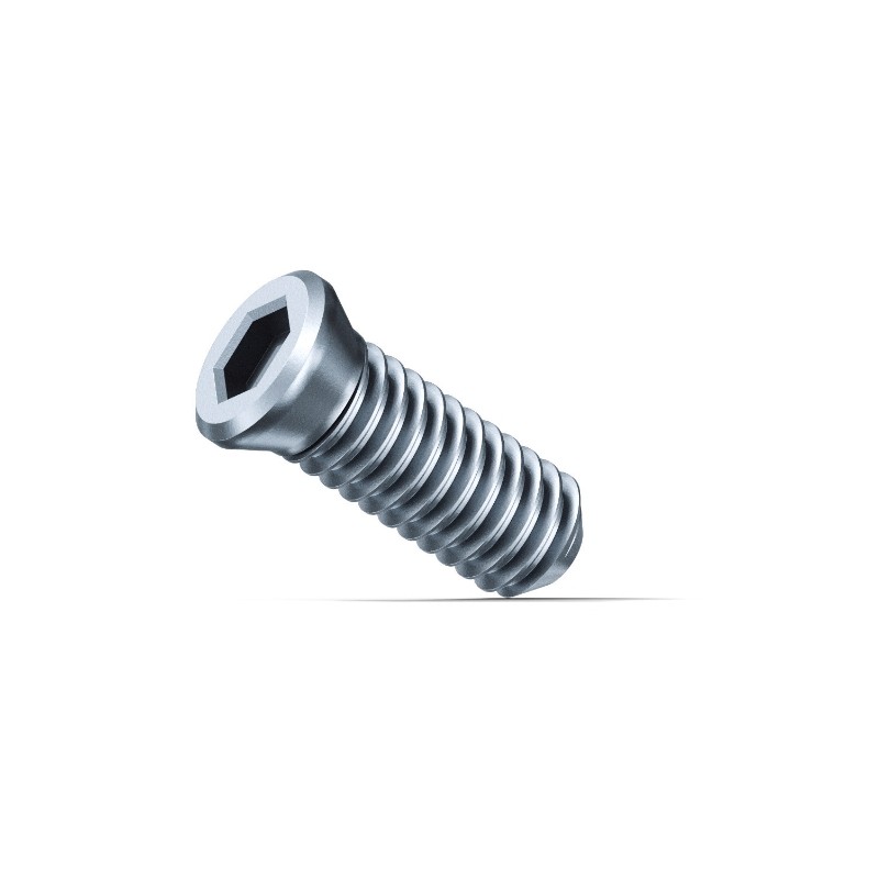 Tornillo fijación AKFH 18, pack 10 31350076000
