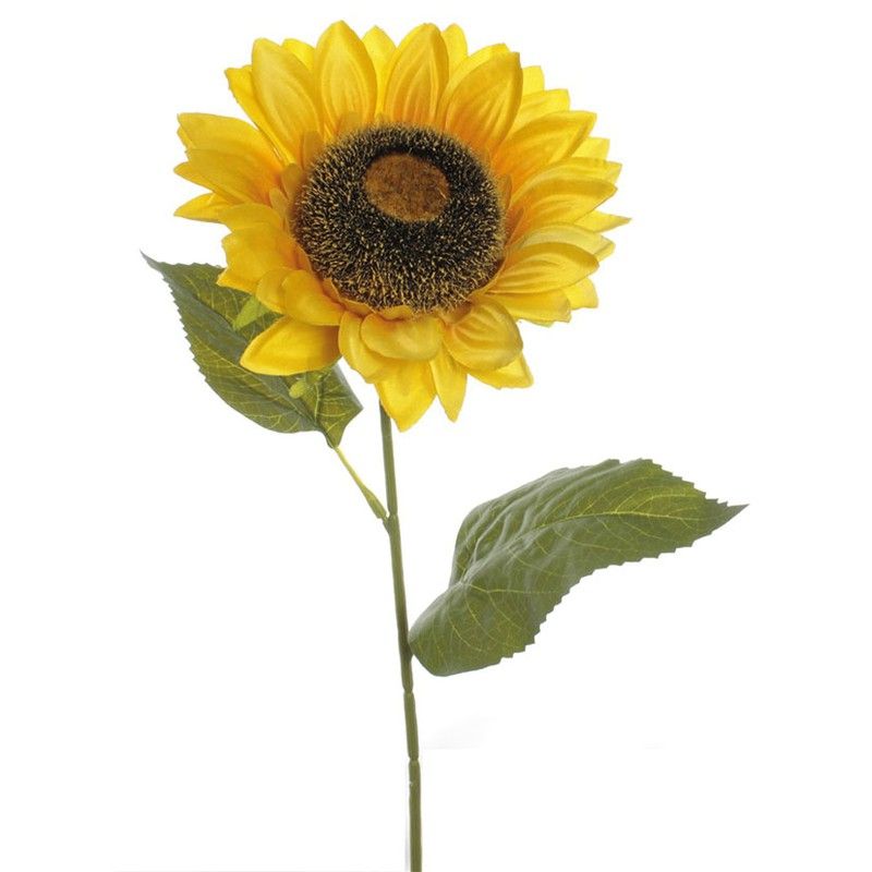 Vara Girasol Amarillo 437Y27