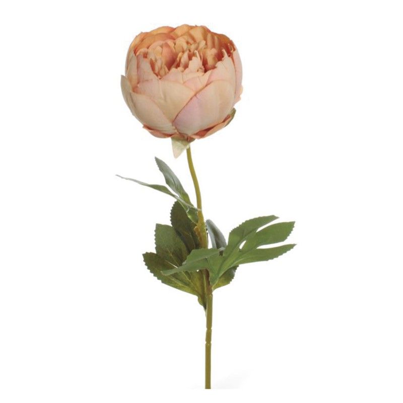 Vara Peonia Cerrada Salmon 437Y33