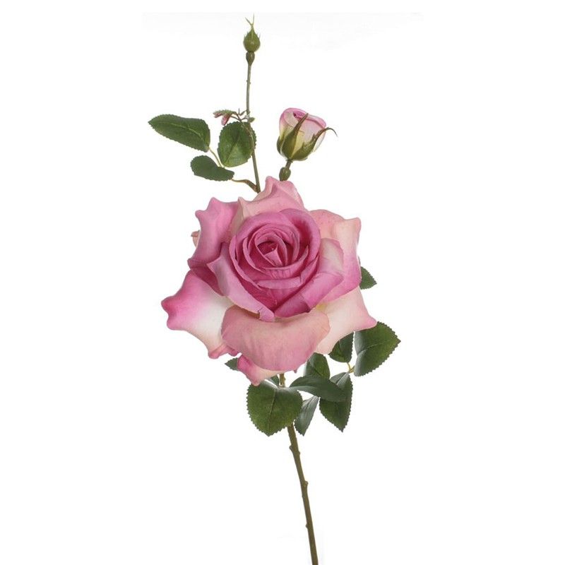 Vara Rosa Alicia Fucsia 437Y32