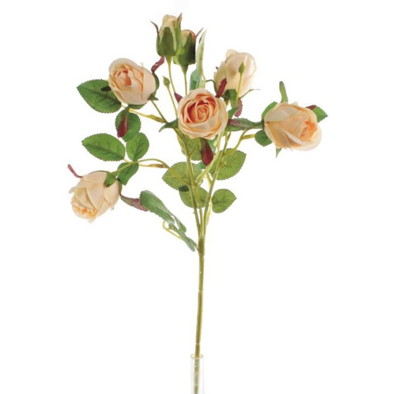 Vara Rosas X 7 Salmon 437Y30